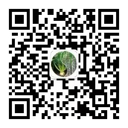 中国糖料