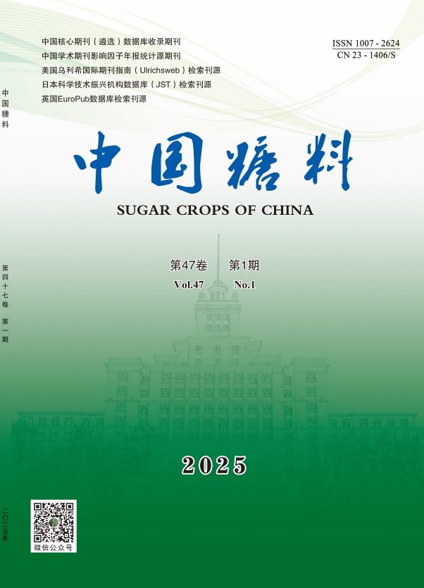 中国糖料